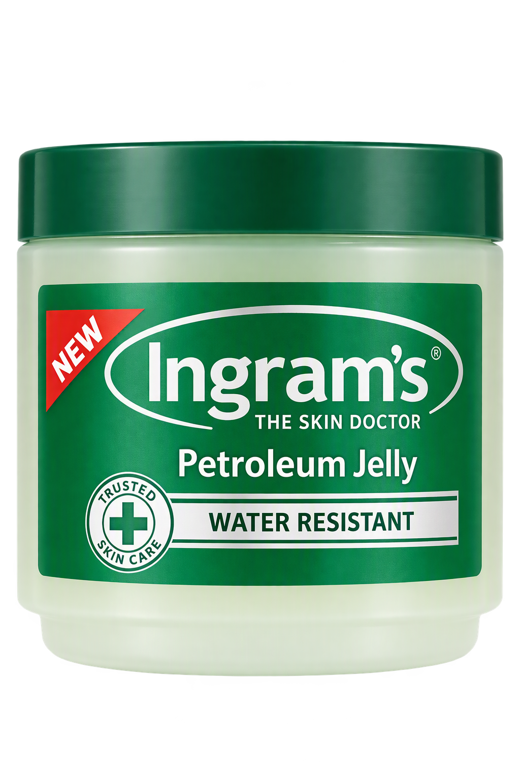 INGRAMS CAMPHOR P/J 250ML PACK-6